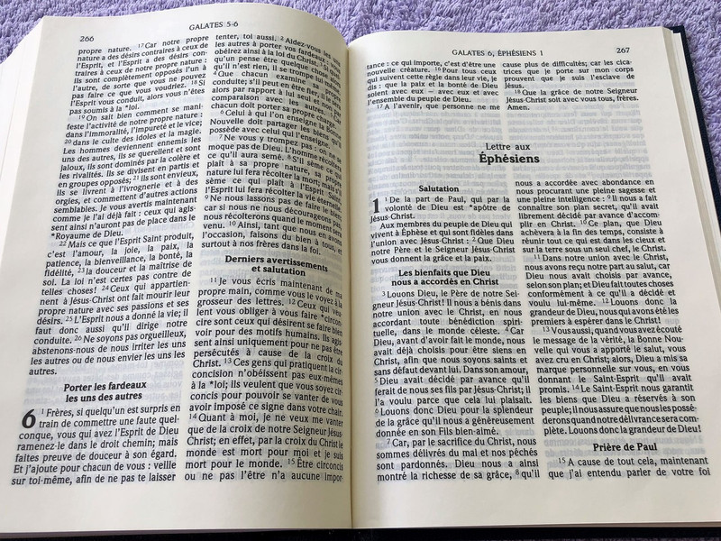 French Bible / La Bible Ancien et Nouveau Testament / Traduit du grec et de l'hébreu en français courant / 1991 Print (2853001172)