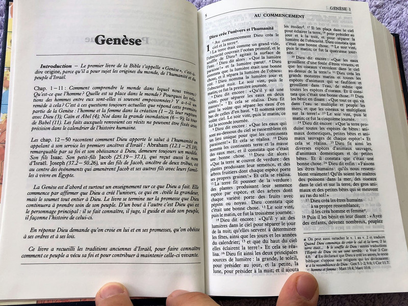 French Bible / La Bible Ancien et Nouveau Testament / Traduit du grec et de l'hébreu en français courant / 1995 Print FC053 Size