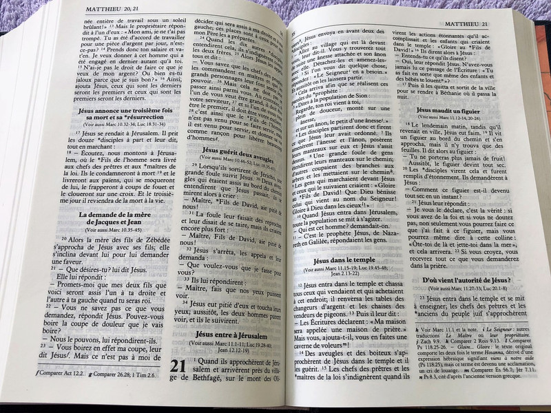 French Bible / La Bible Ancien et Nouveau Testament / Traduit du grec et de l'hébreu en français courant / 1995 Print FC053 Size