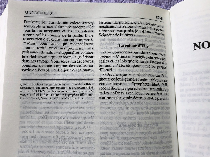 French Bible / La Bible Ancien et Nouveau Testament / Traduit du grec et de l'hébreu en français courant / 1995 Print FC053 Size