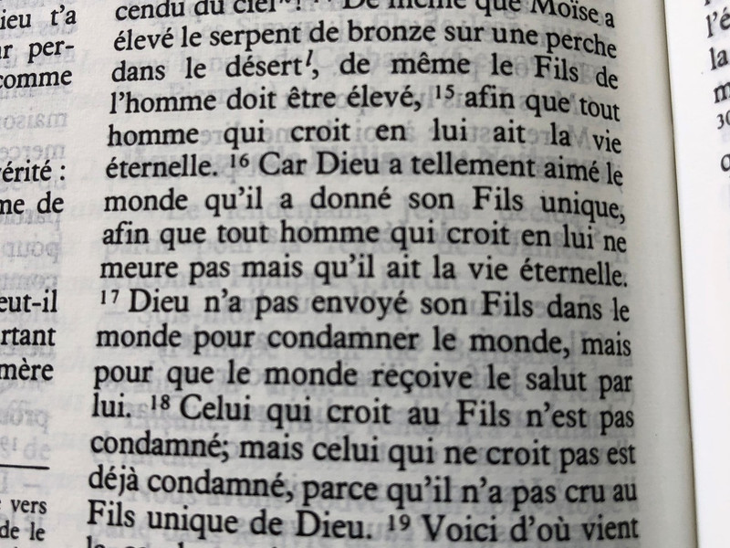 French Bible / La Bible Ancien et Nouveau Testament / Traduit du grec et de l'hébreu en français courant / 1995 Print FC053 Size