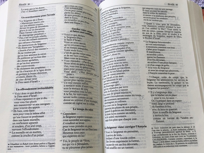 French Bible / La Bible Ancien et Nouveau Testament / Traduit du grec et de l'hébreu en français courant / 1995 Print FC053 Size