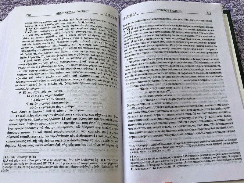 Russian - Greek New Testament / Новый Завет на греческом и русском языках / Novyy Zavet na grecheskom i russkom yazykah / Российское Библейское Общество (9785855241709)