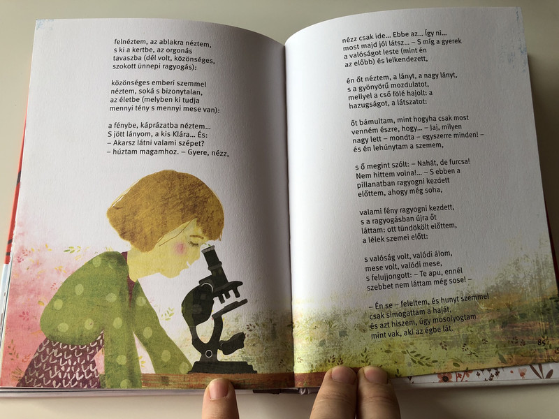 Szél Hozott - Szabó Lőrinc / Versek gyerekeknek és felnőtteknek / Schall Eszter rajzaival / HUNGARIAN COLORFUL RHYME BOOK FOR Everyone / HARDCOVER (9789634153207)