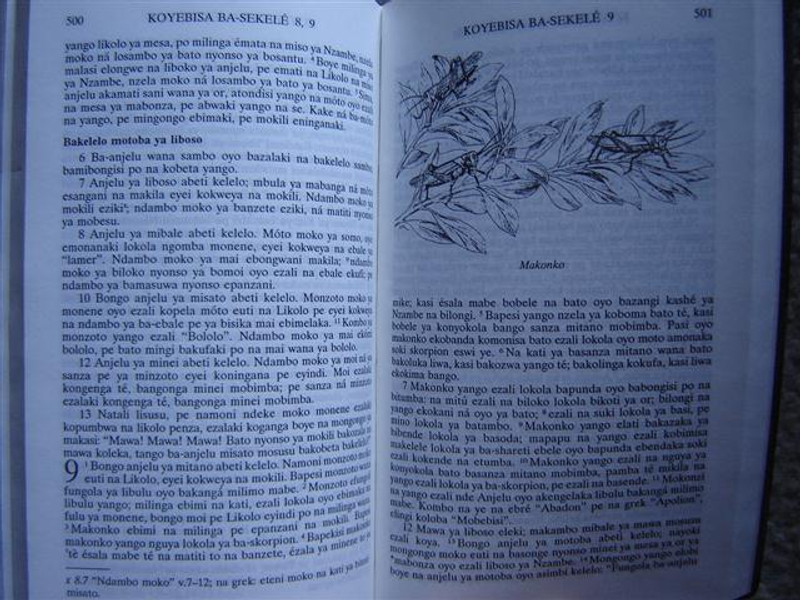 Lingala New Testament and Psalms / Boyokani Y Sika Pe Banzembo
