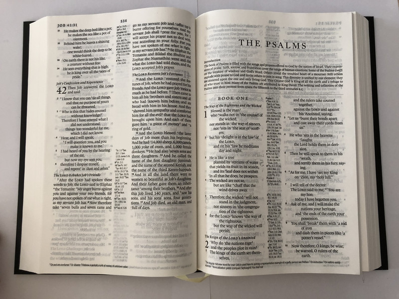 The Holy Bible / ESV / English Standard Version / Suitable for In-Depth Study / Includes Concordance / ESV063PLC / The Bible Societies 2017 / Hardback (9780564098859)