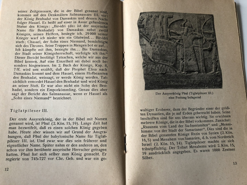 Die Bibel und das alten Assyrien / The Bible and the old Assyrians in German language / Matthias Schulz / Historical and Archeological Comparison / Evangelische Verlagsanstalt Berlin / Paperback, 1964