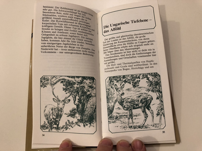 Jagd und Angelsport in Ungarn / Hunting and Fishing in Hungary / German language edition / Benő Borzsák, Miklós Nagy / Corvina / Hardcover, 1998 (9631324583)
