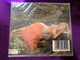 Charlotte Church – Enchantment / Columbia Audio CD 2001 / SK89710