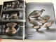 A Kárpát-Medence Ősi Kincsei by Vágó Ádám / A kőkortól a Honfoglalásig / Archeological treasue of the Carpathian Basin / Magyar Nemzeti Múzeum - Kossuth Kiadó / Hardcover 2015 (9789630984263)