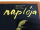 Egy Őrült Naplója / Nikolaj Gogol / Darvas Iván ‎/ Conducted: Róna Frigyes / HUNGAROTON 2X LP STEREO - MONO / SLPX 1379/80