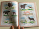 English-Russian- Uzbek Picture Dictionary by Laziz Tangriyev, Shuhrat Mirfayozov / Inglizcha - Ruscha - Ozbekcha Rasmli Lug'at / G'afur G'ulom Toshkent 2018 (9789943542204)