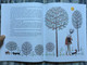 Basil and Barnabas by Éva Janikovszky / English translation of Bertalan és Barnabás - angol nyelven / Illustrations: Réber László / Móra Könyvkiadó 2011 / Hardcover (9789631187847)
