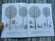 Basil and Barnabas by Éva Janikovszky / English translation of Bertalan és Barnabás - angol nyelven / Illustrations: Réber László / Móra Könyvkiadó 2011 / Hardcover (9789631187847)