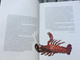 Zsolnay - a gyűjtők könyve by Csenkey Éva, Hárs Éva, Weiler Árpád / Book for Collectors of the Zsolnay Ceramics / Hardcover / Corvina 2003 (9631352978)