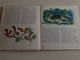 Pajtások a házban és a ház körül by Tasnádi Kubacska András / Reich Károly rajzaival / Móra könyvkiadó 1975 / Hungarian language book about domestic animals (9631103498)