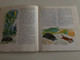 Pajtások a házban és a ház körül by Tasnádi Kubacska András / Reich Károly rajzaival / Móra könyvkiadó 1975 / Hungarian language book about domestic animals (9631103498)