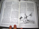 Bari Bible