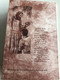 David - People of the Book Series / Struggle, Intrigue, Betrayal, Triumph / Explore the Bible through the stories of real people / IBS Publishing 2000 / Paperback (David-PeopleOfTheBook)