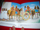 Une Guerison Miraculeuse / French Bible Storybook for Children / France