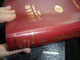 The Red Chinese Pin Yin Bible / Words of Christ in RED / Chinese Simplified 