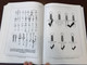 Avars, Bulgars and Magyars on the Middle and lower Danube by Lyudmila Doncheva-Petkova - Csilla Balogh - Attila Türk / Archeolingua / Pázmány Péter Catholic University 2014 (9789639911550)