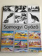 Somogyi Győző - Tájkép és térkép - Ernst Múzeum kiállítás 2003 / Catalogue of Exhibition in Ernst Museum Editor: Somogyi Márk (9632107942)