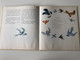 Öregapó madarai by Lázár Ervin / Illustrated by Balogh Péter / Old man's birds - Hungarian book for children about birds / Móra könyvkiadó 1974 / Hardcover (9631136582)