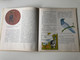 Öregapó madarai by Lázár Ervin / Illustrated by Balogh Péter / Old man's birds - Hungarian book for children about birds / Móra könyvkiadó 1974 / Hardcover (9631136582)