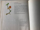 Öregapó madarai by Lázár Ervin / Illustrated by Balogh Péter / Old man's birds - Hungarian book for children about birds / Móra könyvkiadó 1974 / Hardcover (9631136582)