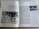 Cigányokról by Bencsik Gábor / Magyar Mercurius 2008 / Hungarian essay book about Gypsy Romani people in Hugary / Hardcover (9789639872035)