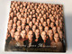 Being John Malkovich (Original Motion Picture Soundtrack) / A film directed by Spike Jonze / Score by Carter Burwell / Source Audio CD 1999 / 724384876401