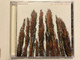 Presence – All Systems Gone / Ark 21 Records Audio CD 1999 / 547 296-2