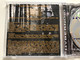 Hybernoid – The Last Day Begins ? / Displeased Records Audio CD 1994 / D 00028