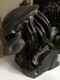 Predator Bust Head with 6 DVDs Box Set / Designed by Sideshow Collectables / Size: 13.5 inches (5996255722604) 