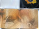 Mind1 – Nászhaláltánc / Audio CD 2003 / MIND01CD