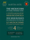 The Microcosm of String Ensemble Music 4 / based on Béla Bartók's Mikrokosmos for string orchestra / Sheet music and download code / Author: Bartók Béla / Selected and transcribed by Soós András / Editio Musica Budapest Zeneműkiadó / 2022 / A vonós kamarazene mikrokozmosza 4