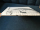 LCD Soundsystem / DFA LP 2017 / 0190295905262