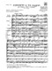Vivaldi, Antonio: CONC. PER VL., ARCHI E B.C.: IN SOL RV 312 - F.I/107 / Ricordi / 1984
