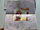 Nicki Minaj – Pink Friday (Roman Reloaded) / Deluxe Edition / Cash Money Records Audio CD 2012 / 602527993003