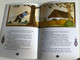 Looking-Glass Kate - Hungarian Folktales Translated to English by Mora Ferenc (9789631360134)