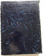 A SZÁZÉVES NEMZETI SZINHÁZ  AZ 193738-AS CENTENÁRIS ÉV EMLÉK ALBUMA  BUDAPEST 1938  Leather Bound