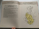 KÉPES MAGYAR NÉPRAJZ - ÁRVA ATTILA  Sifi Reklám Kft Kiado  Hardcover (9789638722034)