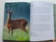 SIZZLING AMID RUSTLING LEAVES  VIKTOR SEGAL, JOE VIDA  ADVENTURES IN FOREST GASTRONOMY WITH QUOTES FROM ZSIGMOND SZÉCHENYI  PANNON Publishing 2021  Hardcover (9786150106526)