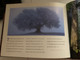The Wonder of It All: The Creation Account According to the Book of Job / This book tells a wonderfully old story in a totally new way / Published by New Leaf Publishing Group (0892214937 )
