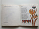 KÍNÁLGATÓ by Pákolitz István (Offered) / Cheerful poems about the starling boy with no appetite / Published by MÓRA FERENC KÖNYVKIADÓ (9631115410)