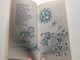 KÉSEI CSILLAG by BRASNYÓ ISTVÁN / Published by Forum Könyvkiadó Intézet Móra Ferenc Könyvkiadó / WITH THE DRAWINGS OF ADÁM WÜRTZ / A "vágyódás" regénye (brasnyoistvan)