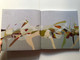 Не квадрат Иная реальность  Not a square Other reality  Art Artists, Creative Association  Publisher DavidGroup  Paperback (9785918760086)