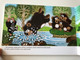 A kisvakond és a mackók (The little mole and the teddy bears) by Zdeněk Miler / A mű eredeti címe: Krtek a medvědi / Fordította: Balázs Andrea / Kiadja a Móra Könyvkiadó Zrt. (9789631198058)