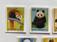 MAGYAR POSTA / AILURUS FULGENS - AILUROPODA MELANOLEUC - SELENARCTOS TIBETANUS - THALASSARCTOS MARITIMUS - URSUS ARCTOS / 1977 GALL FERENC / Stamp (stampshun018)